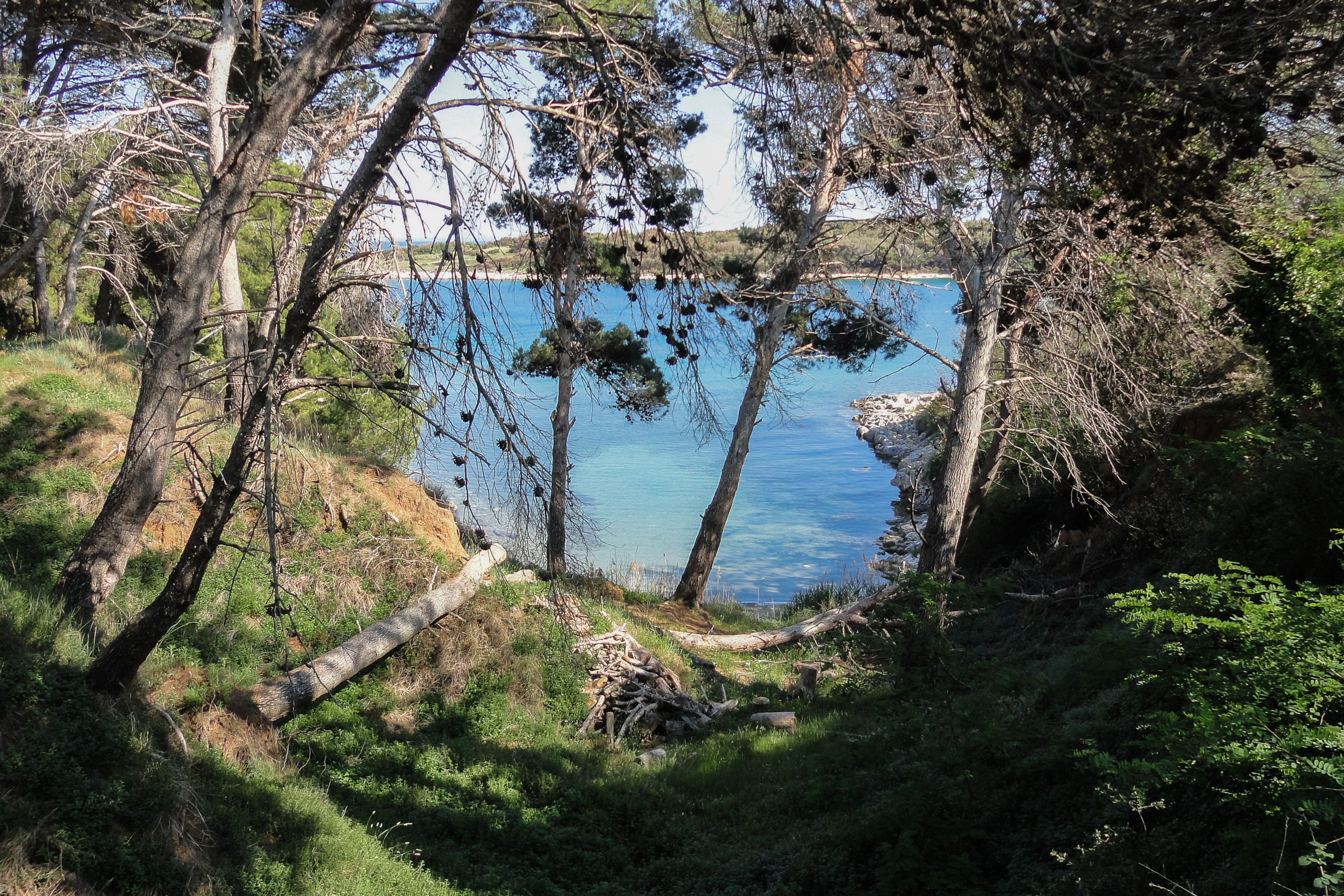 Verborgene Bucht auf Kamenjak – türkises Wasser zwischen Pinien